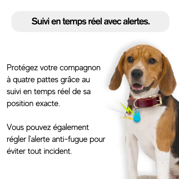 Collier GPS chien étanche et léger, collier GPS pour chien avec traceur GPS fiable sans abonnement – Image 4