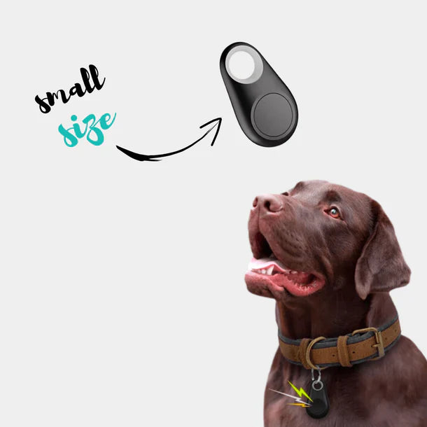 Collier GPS chien étanche et léger, collier GPS pour chien avec traceur GPS fiable sans abonnement – Image 5